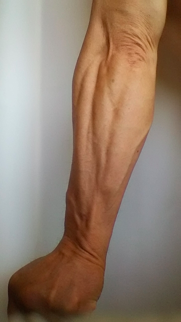 the-muscles-of-the-forearm