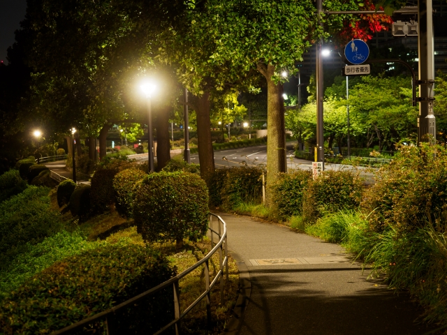 Night-park