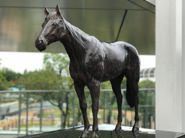 ワクセル　嶋村吉洋もプロジェクトで競馬場運営をしたい